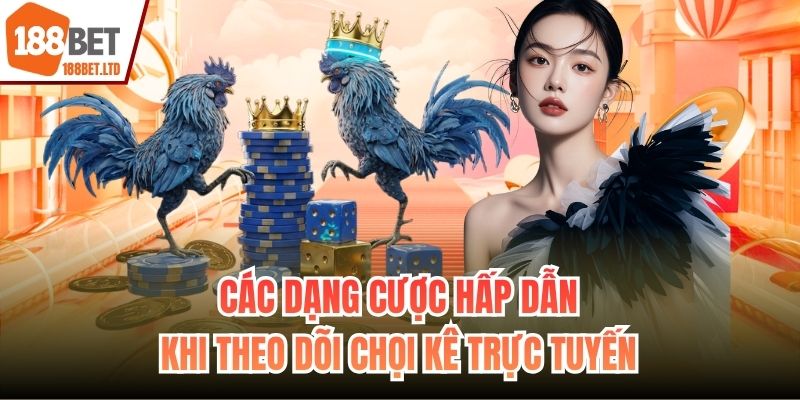 Các dạng cược hấp dẫn khi theo dõi chọi kê trực tuyến