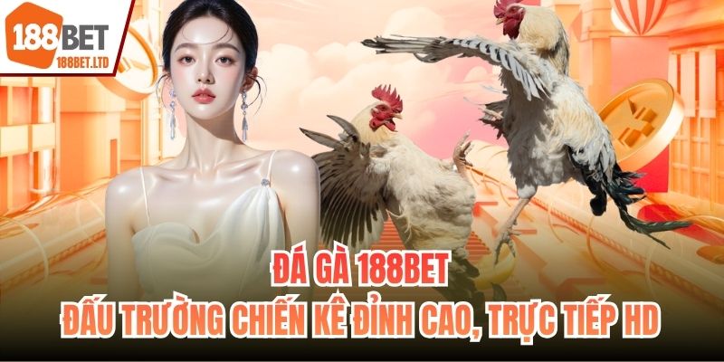 Đá Gà 188BET - Đấu Trường Chiến Kê Đỉnh Cao, Trực Tiếp HD