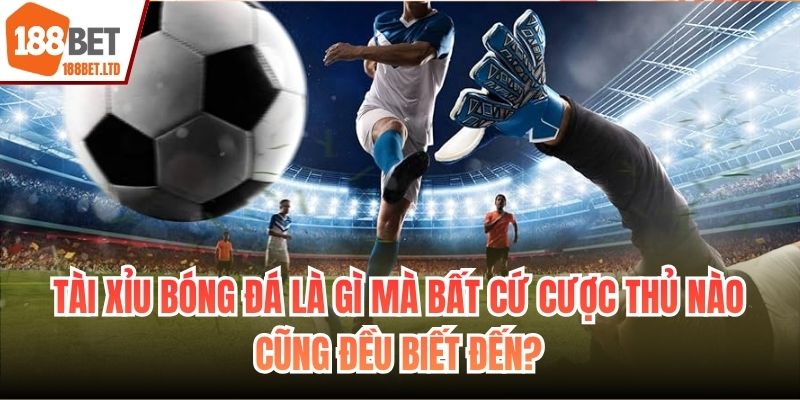 Tài xỉu bóng đá là gì mà bất cứ cược thủ nào cũng đều biết đến?